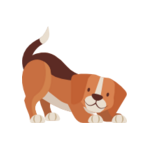 Hund 1